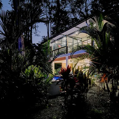 Herons Landing - Modern Jungle Villa Puerto Viejo de Talamanca Exterior foto