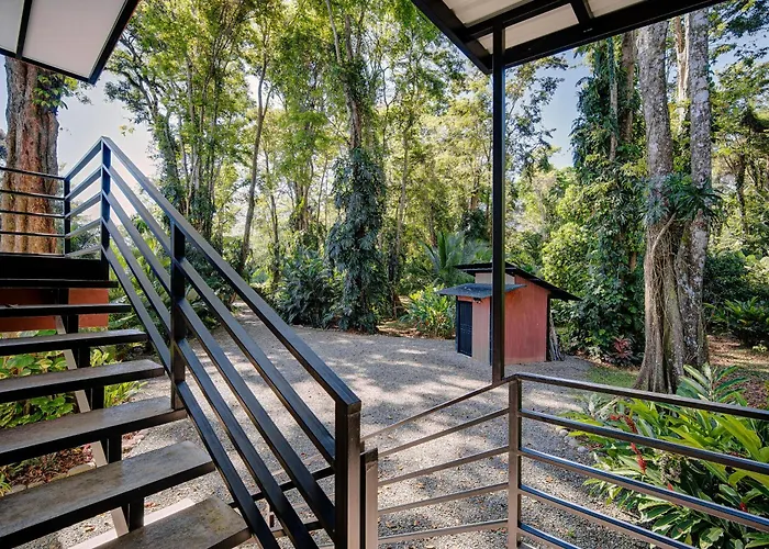 Herons Landing - Modern Jungle Villa