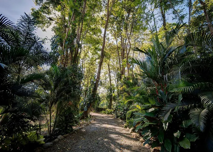 Herons Landing - Modern Jungle Villa