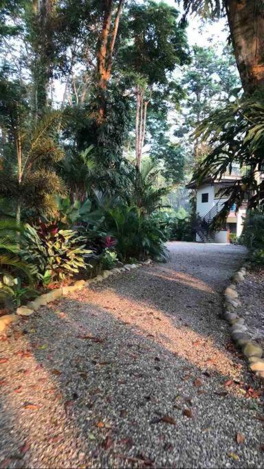 Herons Landing - Modern Jungle * Puerto Viejo de Talamanca
