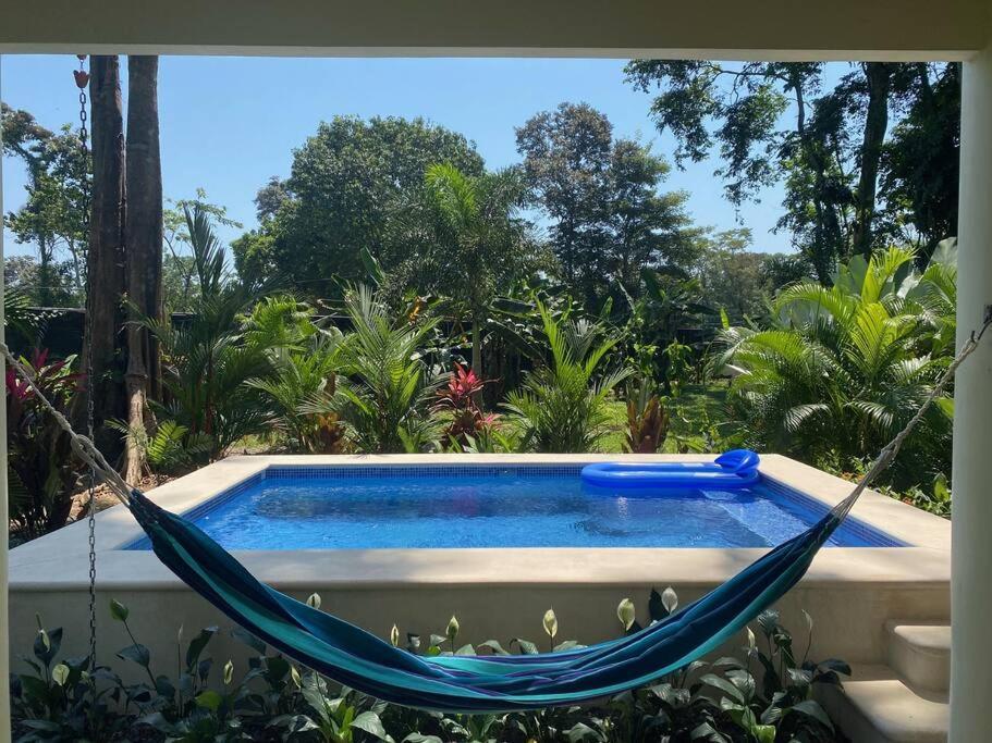 Herons Landing - Modern Jungle Holiday home