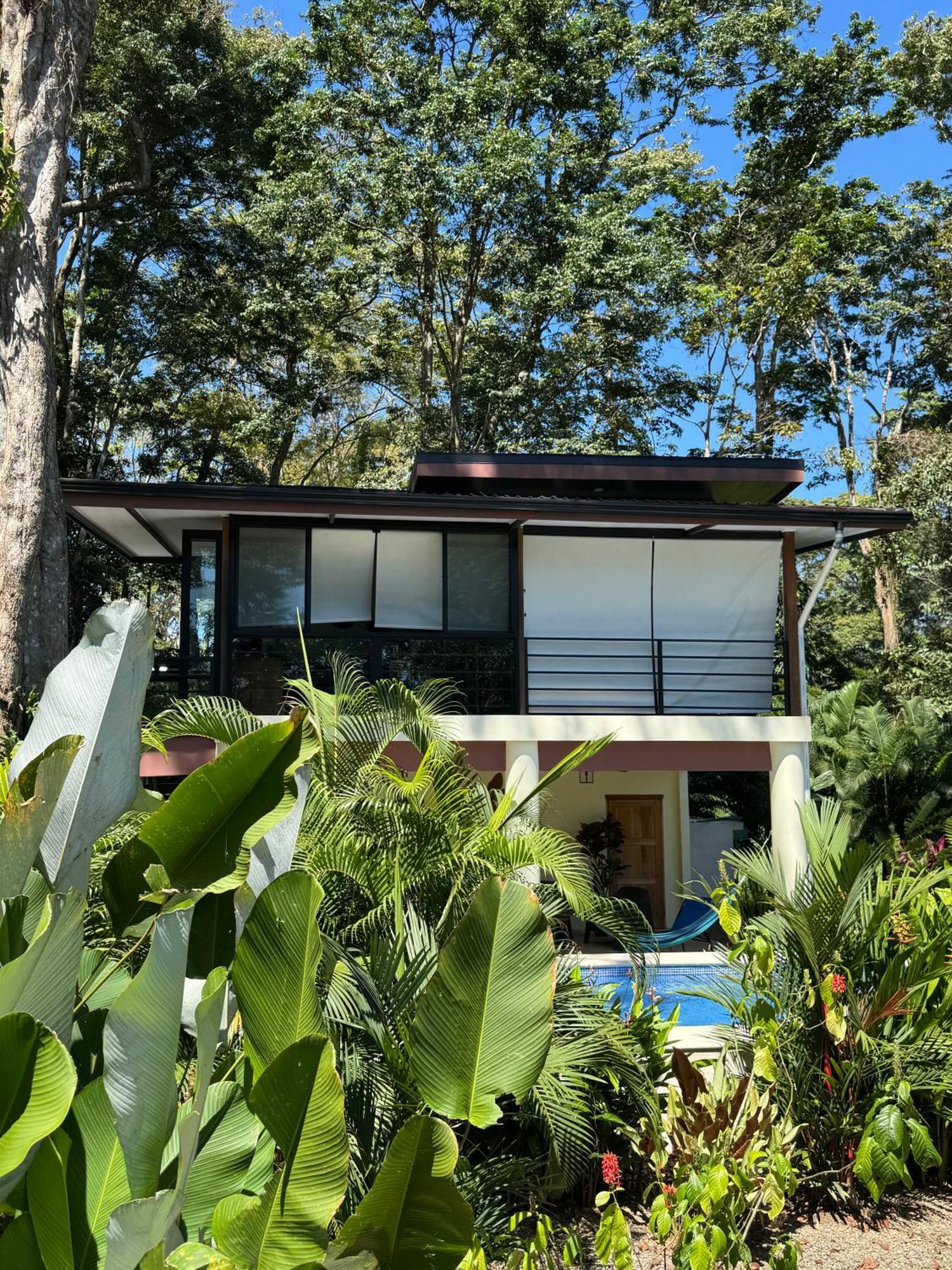 Herons Landing - Modern Jungle Holiday home Puerto Viejo de Talamanca