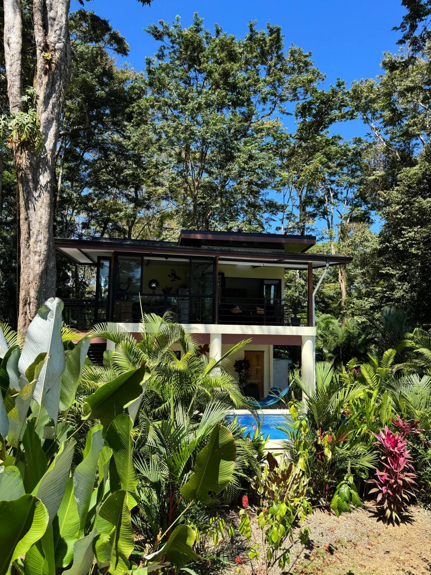 Herons Landing - Modern Jungle Puerto Viejo de Talamanca