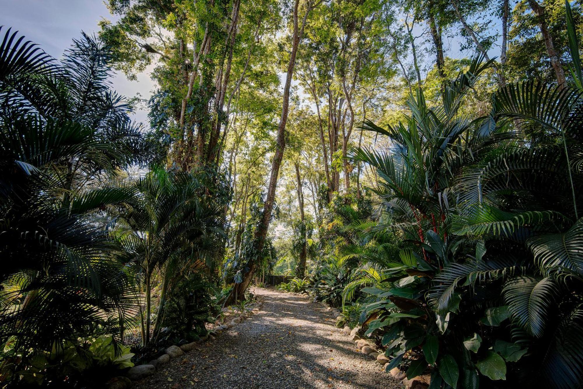 Hébergement de vacances Herons Landing - Modern Jungle *