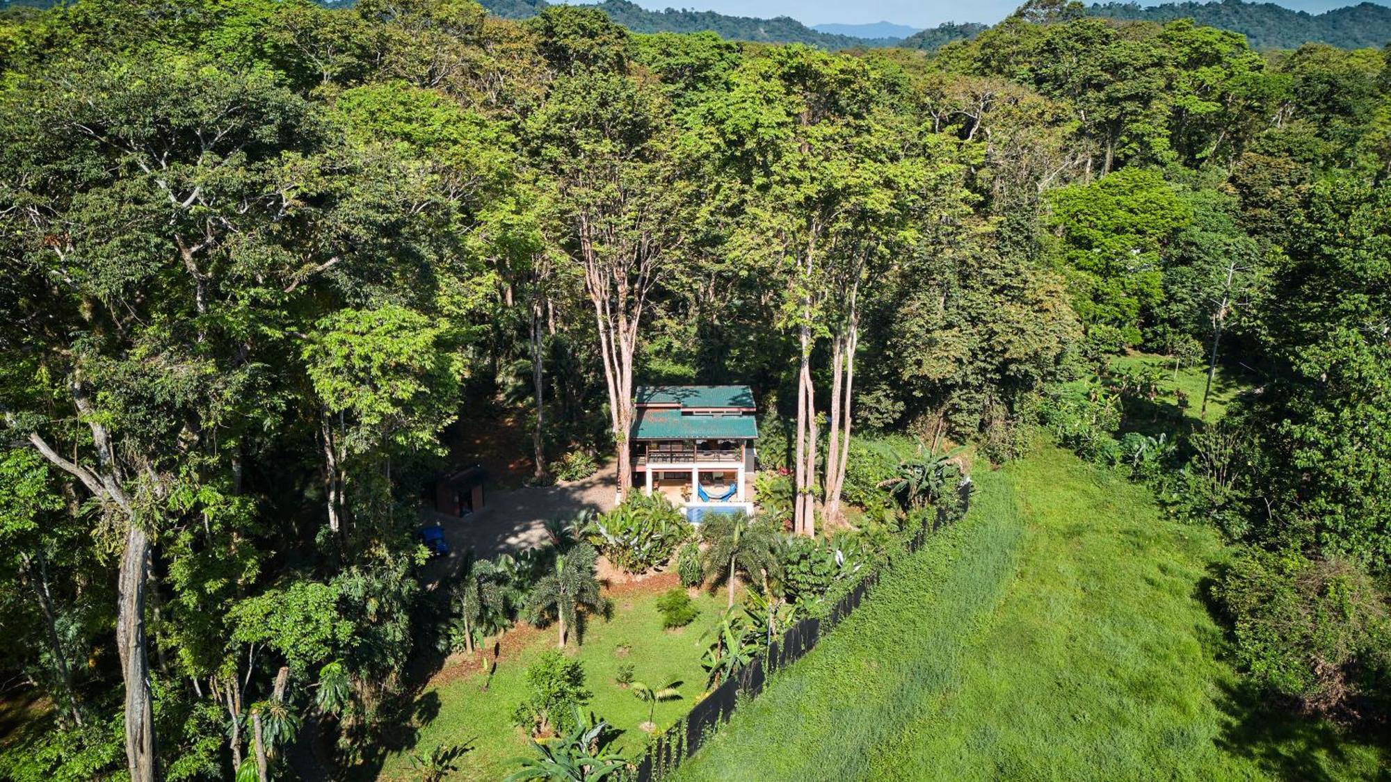 Hébergement de vacances Herons Landing - Modern Jungle Puerto Viejo de Talamanca