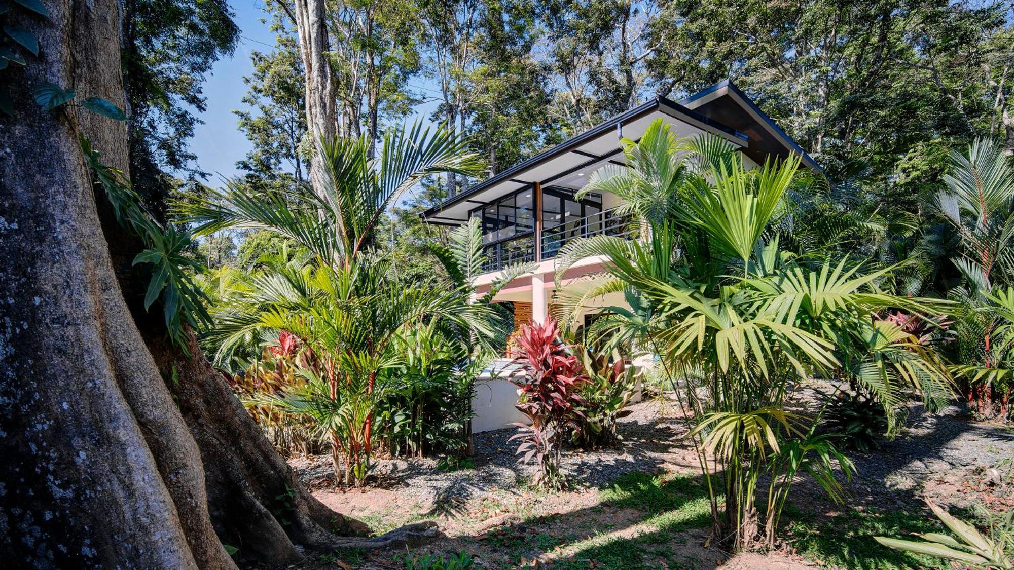 Herons Landing - Modern Jungle *