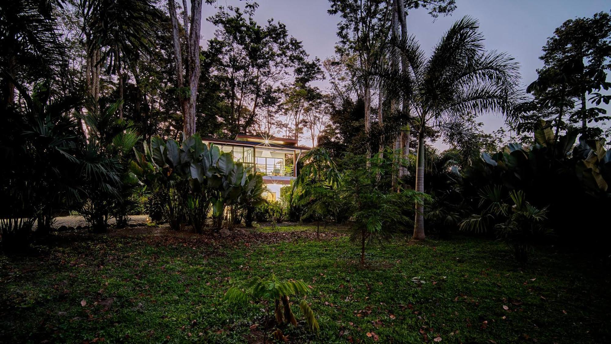 Herons Landing - Modern Jungle