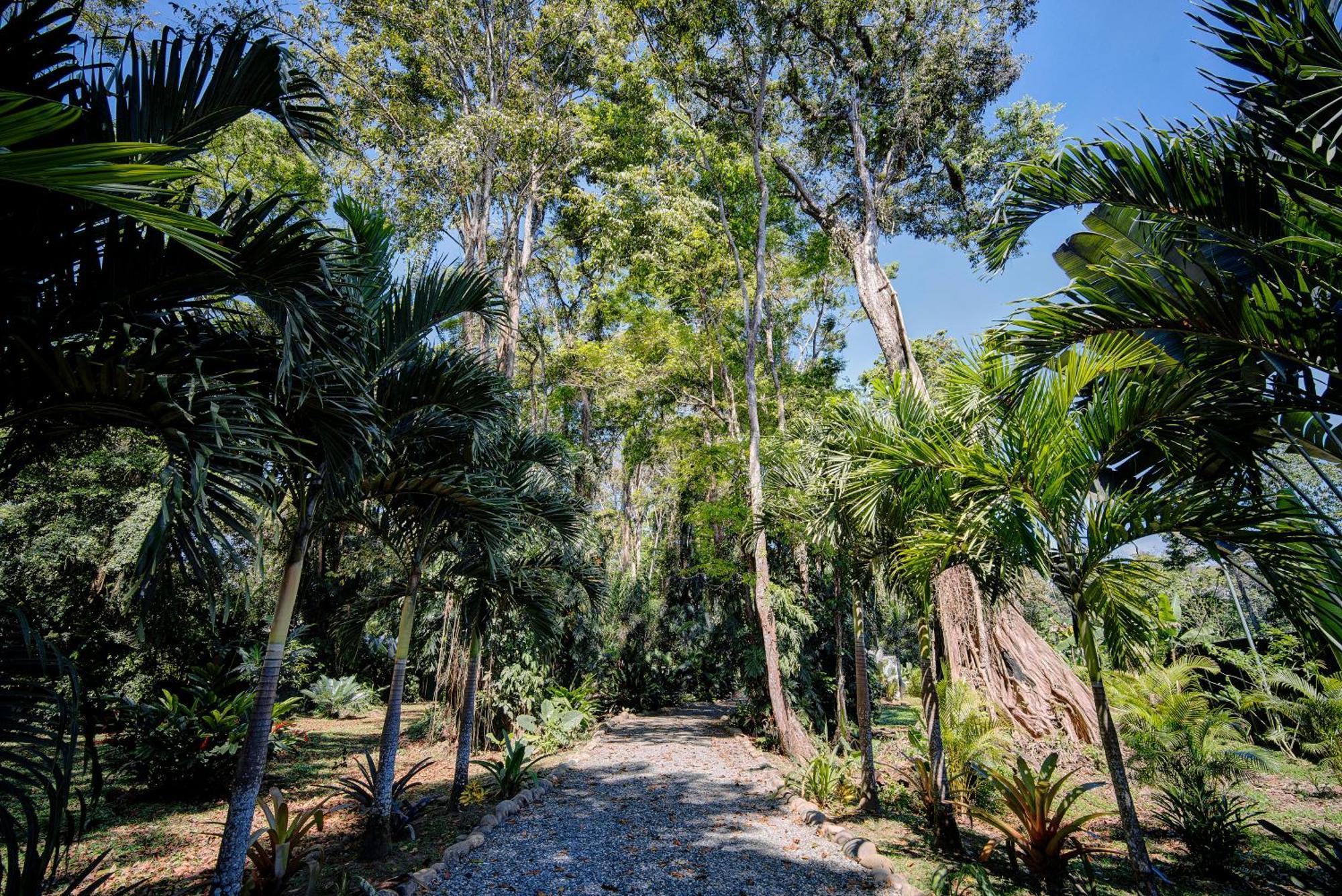 Herons Landing - Modern Jungle