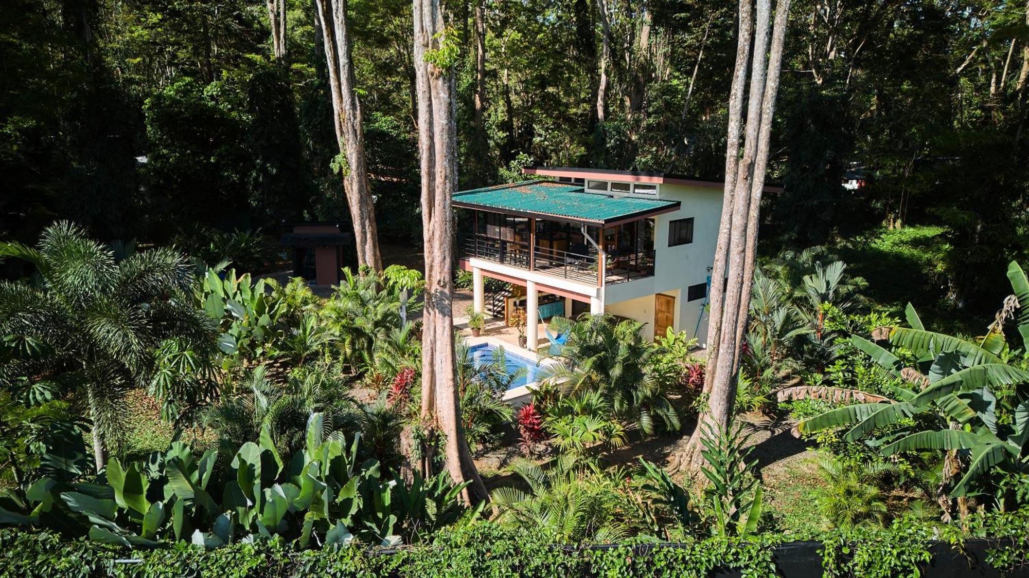 Herons Landing - Modern Jungle Hébergement de vacances Puerto Viejo de Talamanca