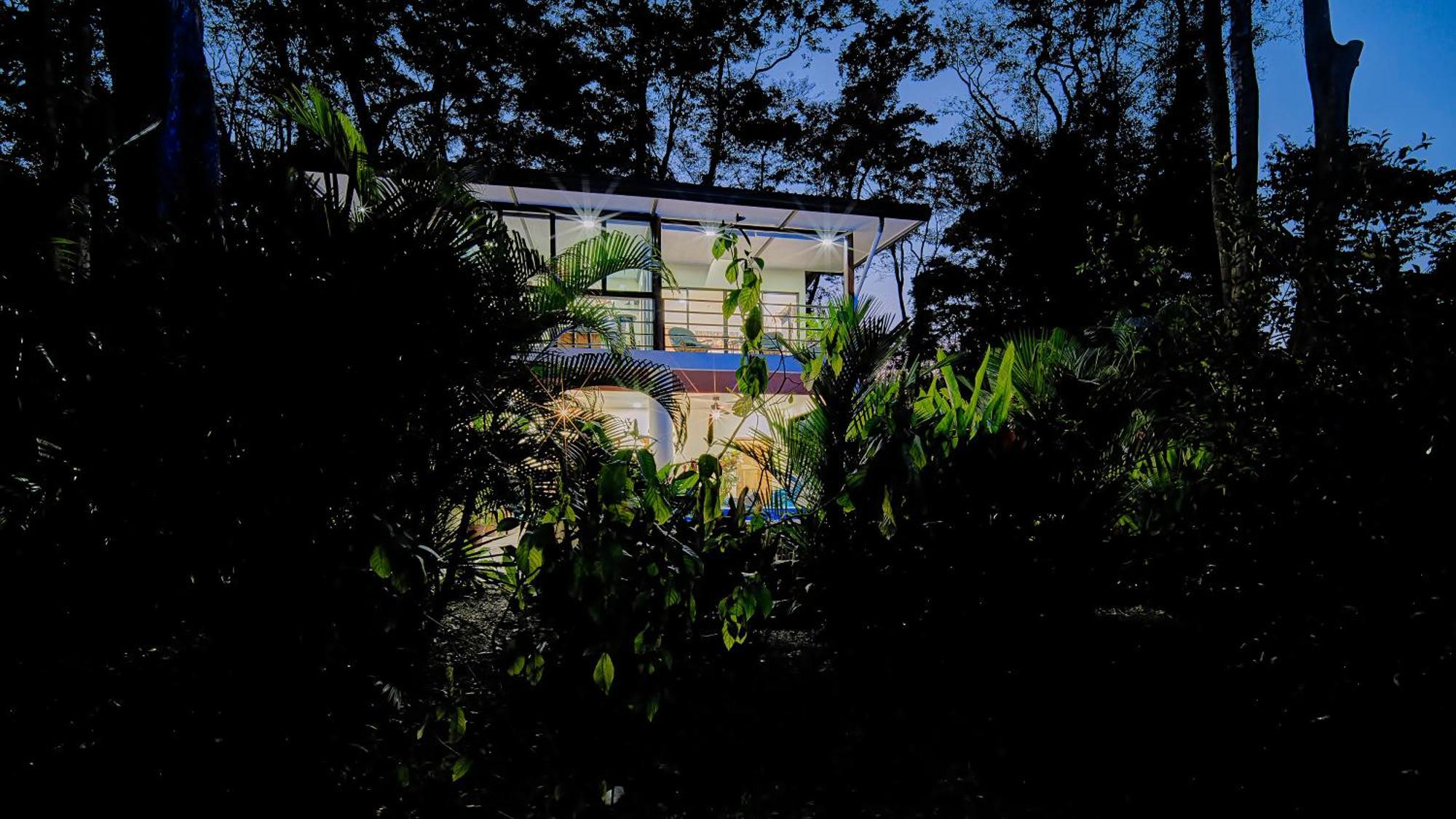 Herons Landing - Modern Jungle *
