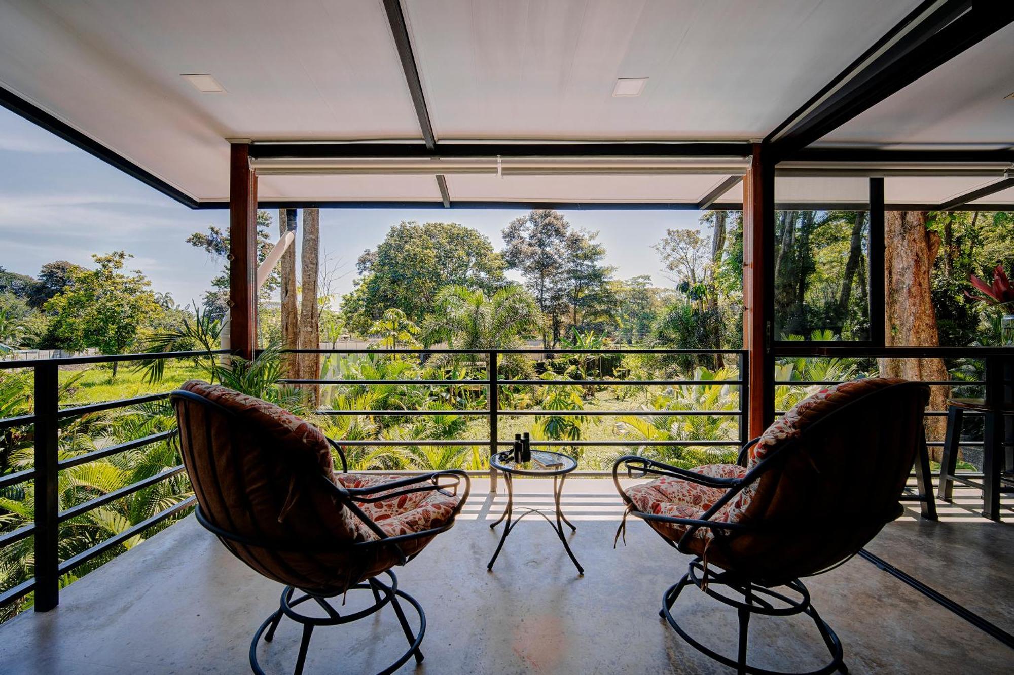 Herons Landing - Modern Jungle